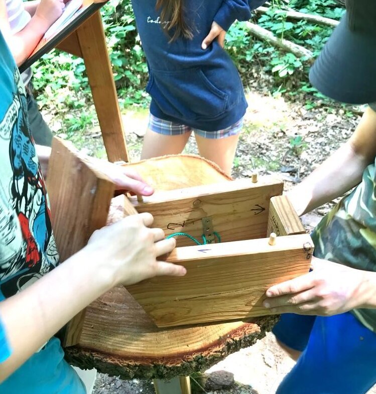 Kinder öffnen gespannt eine Holzkiste