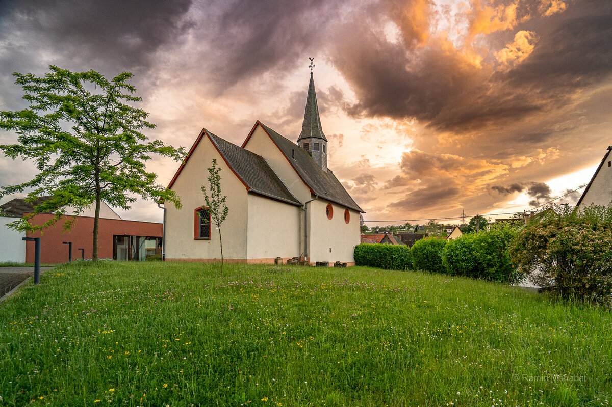 Blick von grüner Wiese auf die evangelische Kirche
