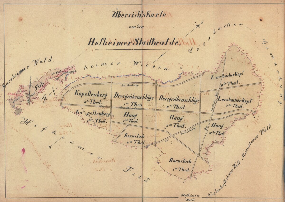 Übersichtskarte des Stadtwaldes um 1863