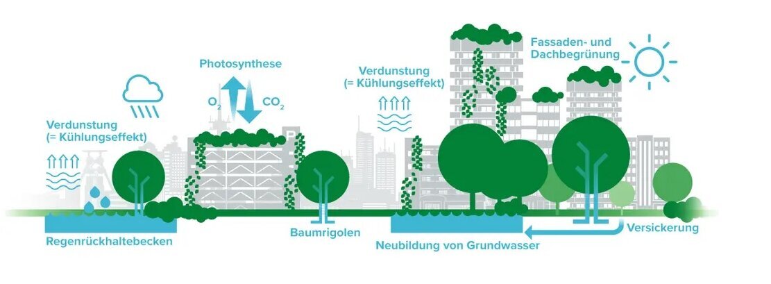 Das Schwammstadt-Prinzip Klimawerk