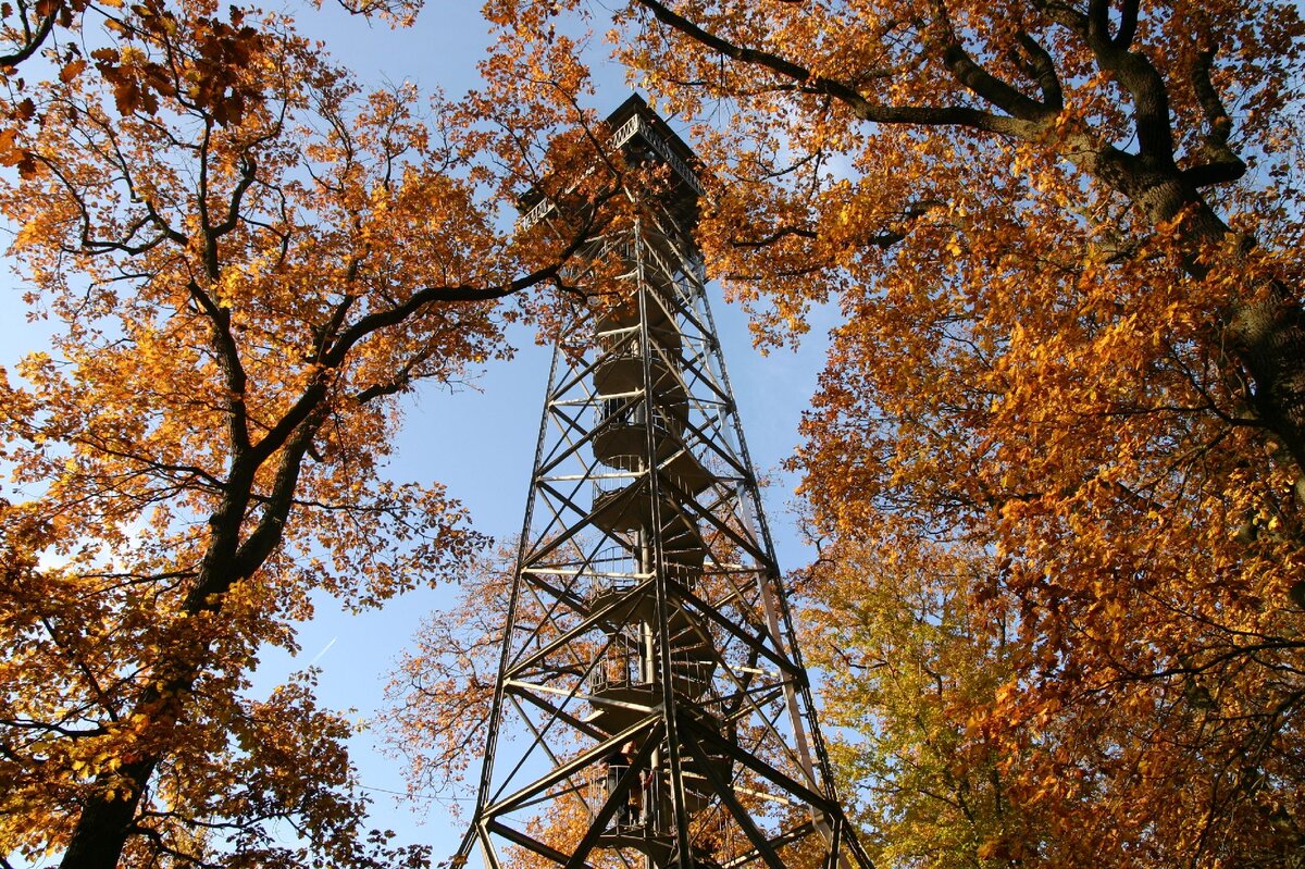 Blick im Herbst von unten auf den Meisterturm