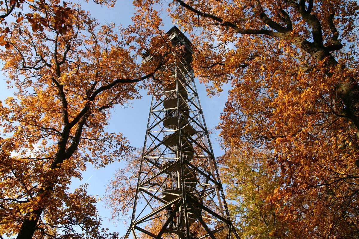 Blick im Herbst von unten auf den Meisterturm