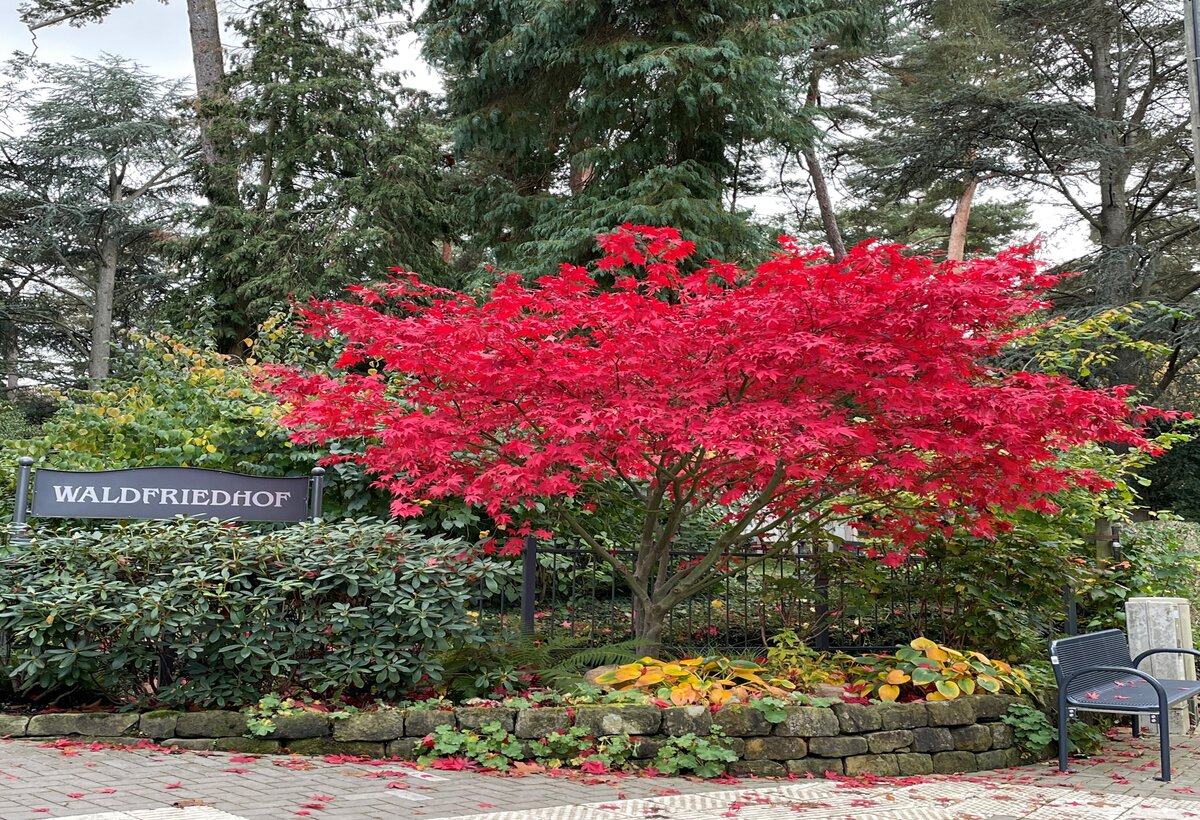 Haupteingang Waldfriedhof Hofheim