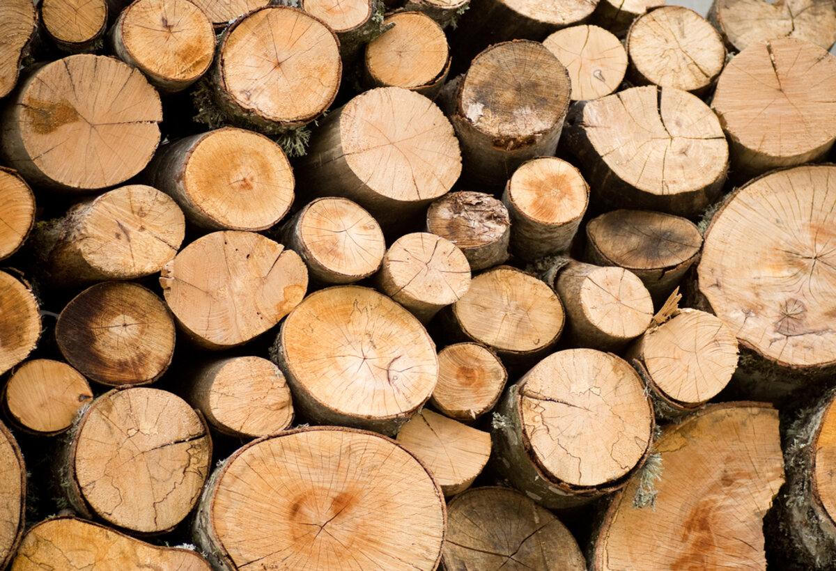 Holzstapel