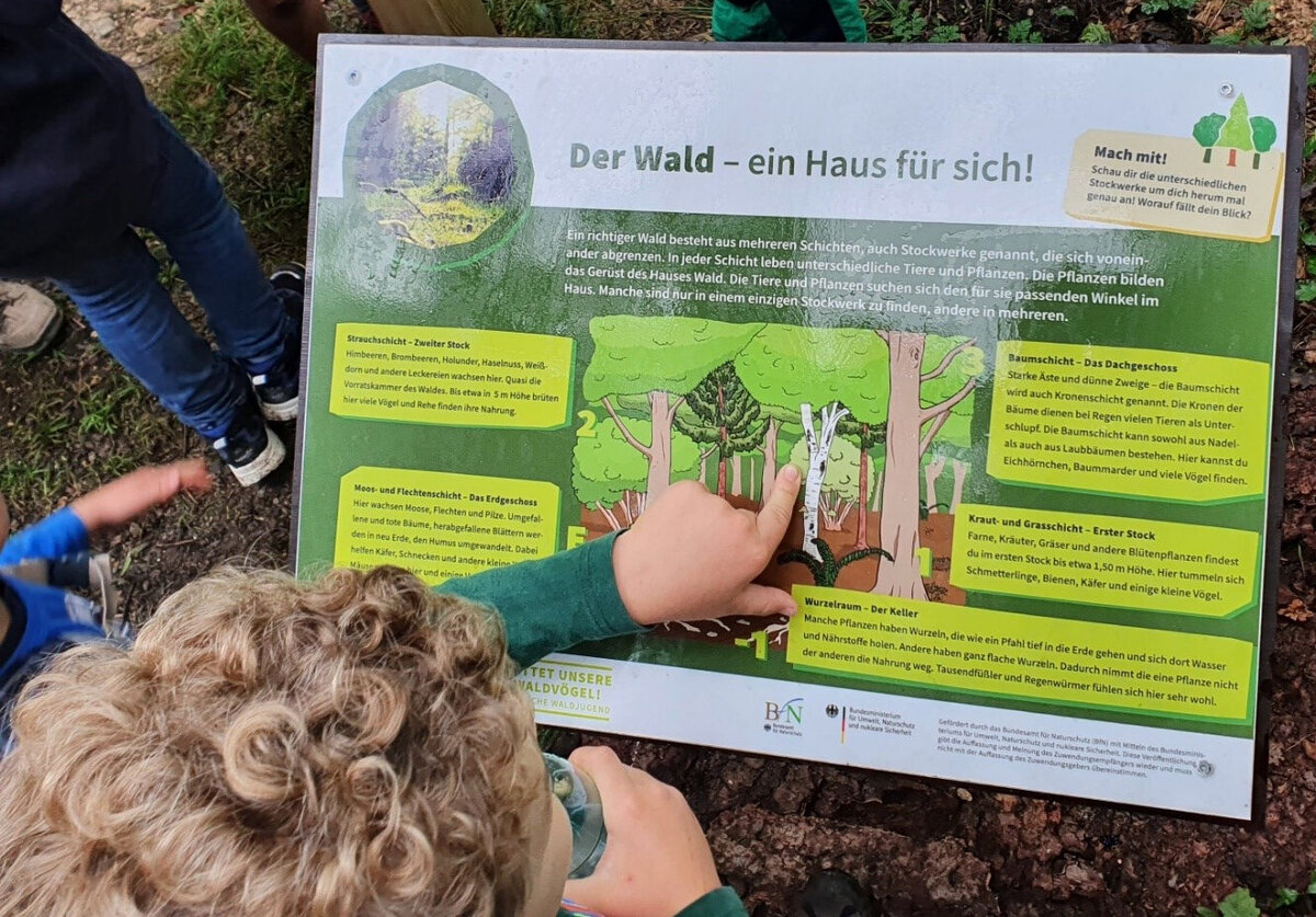 Lehrtafel zum Thema "Wald"