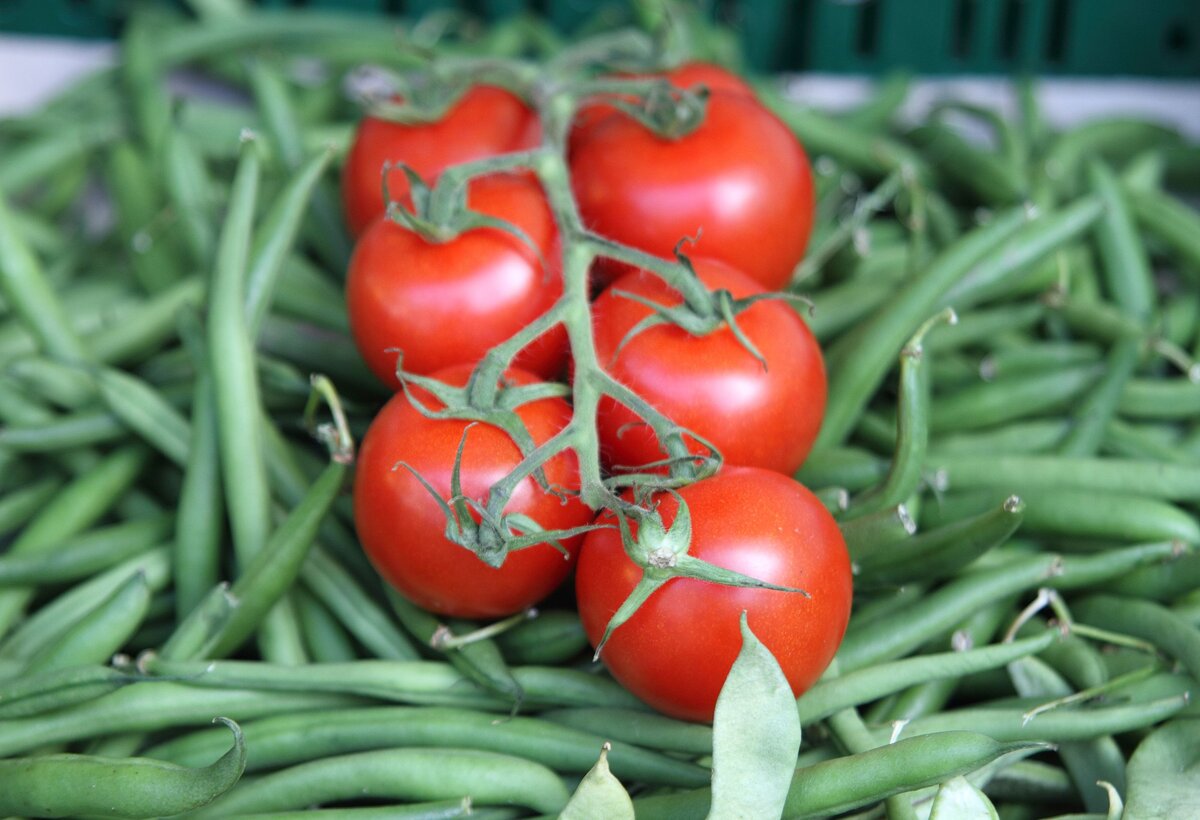 Frisches Gemüse vom Wochenmarkt