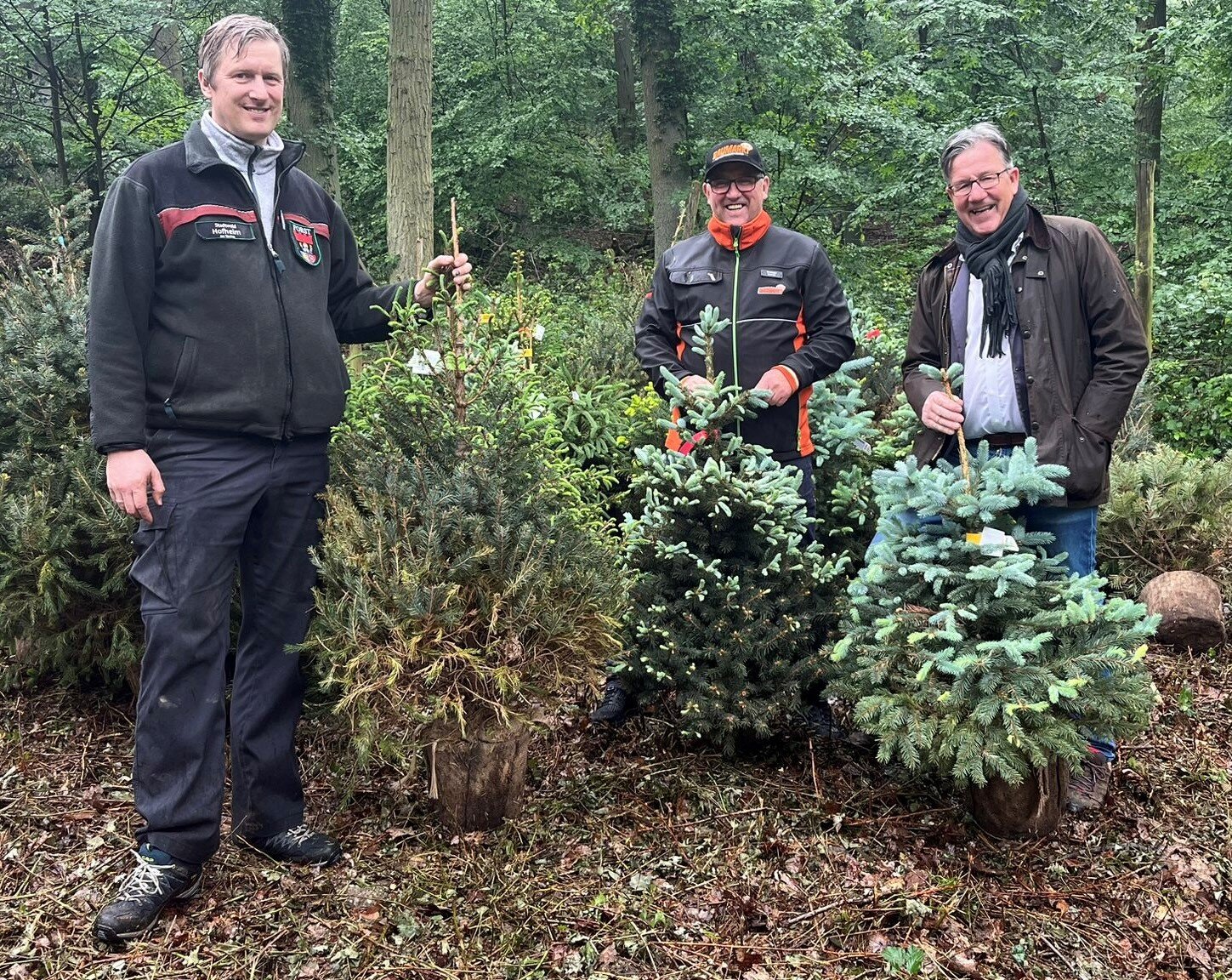 Hofheim Spende Globus Baumarkt Weihnachtsbäume für den Wald