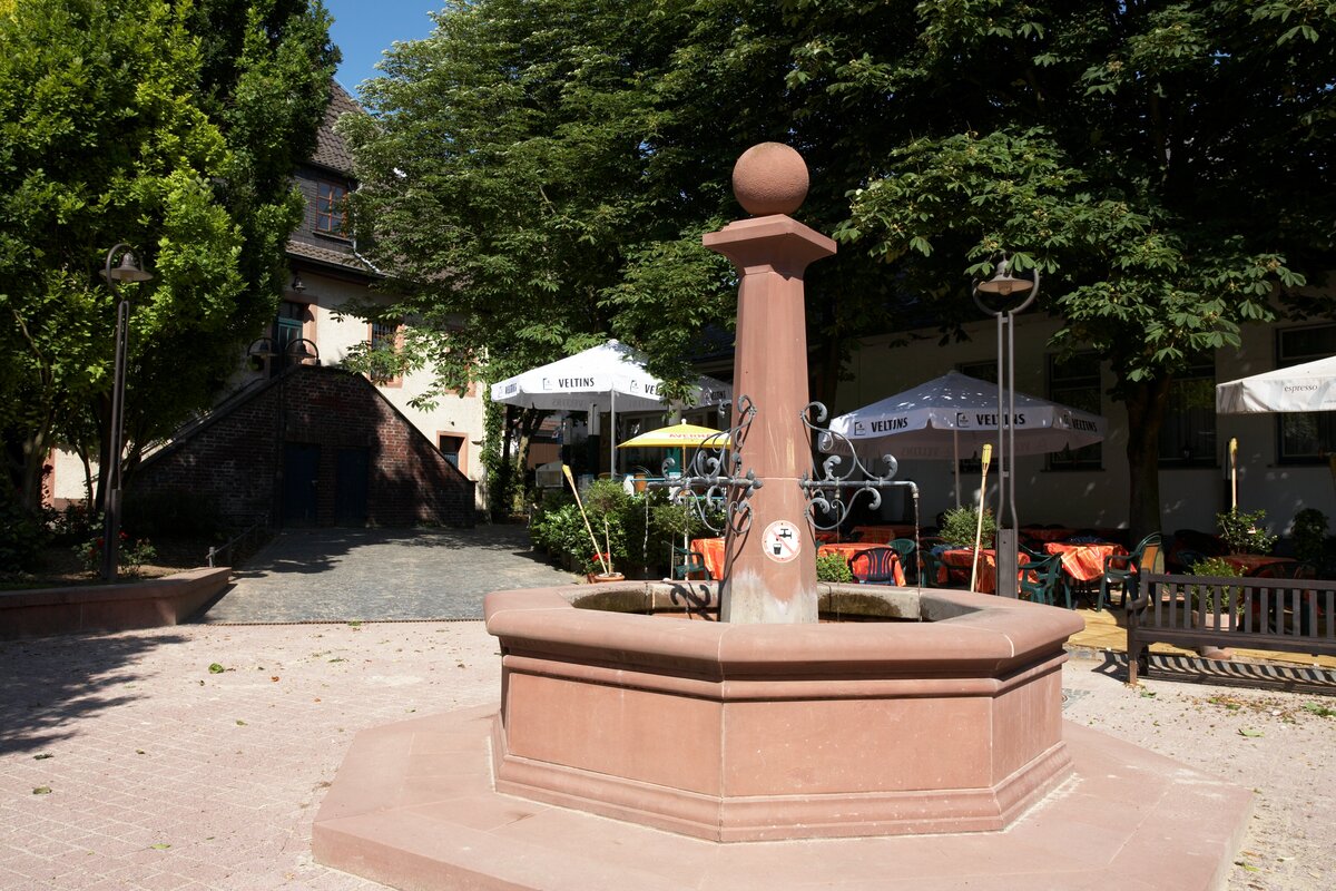 Blick auf den Brunnen und ein Lokal am Recepturhof