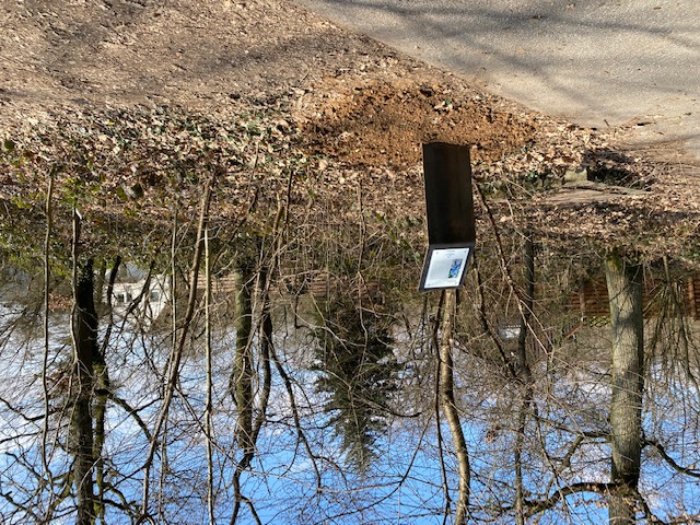 Rolf Kubon Stele im Wald