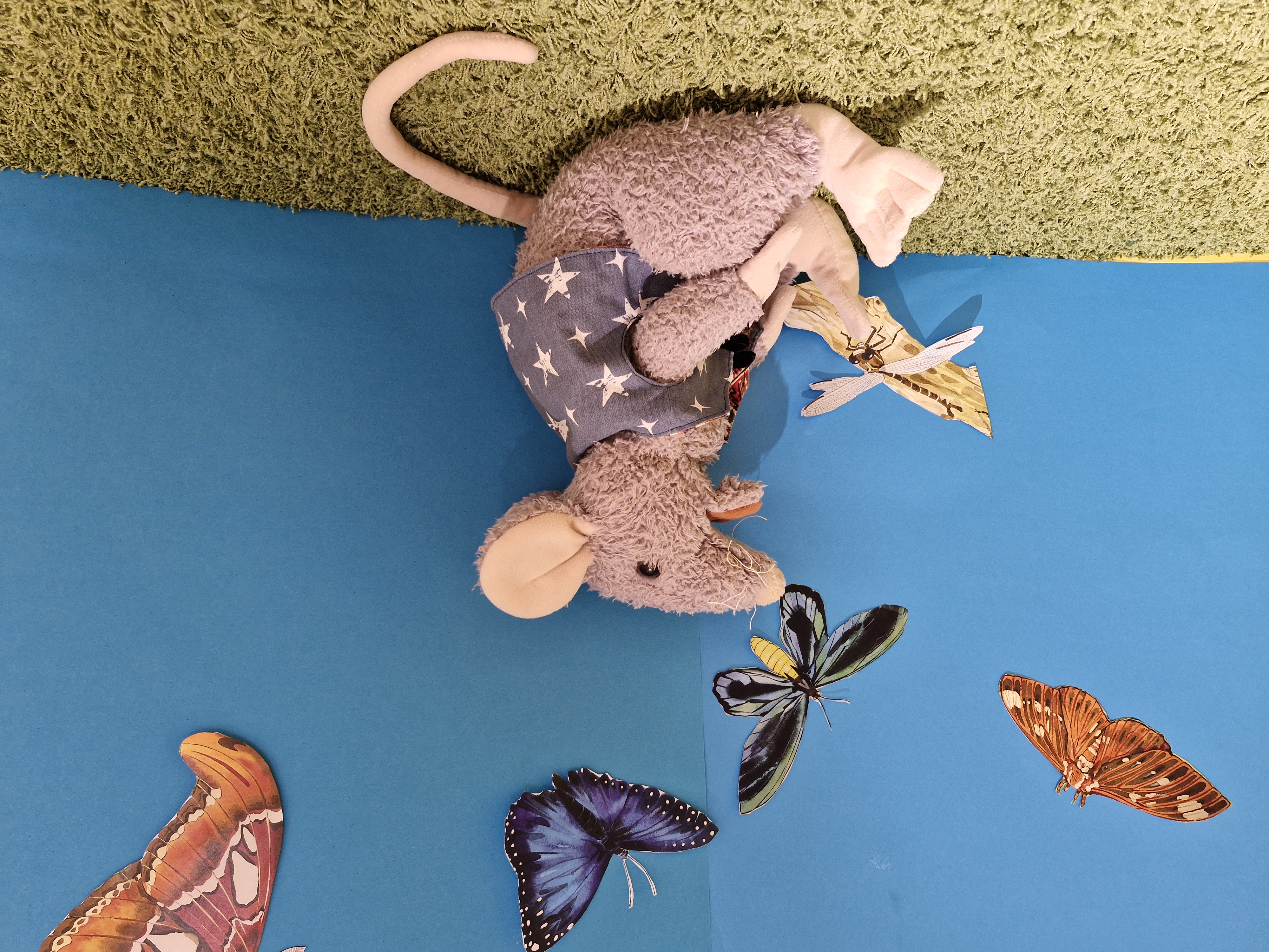 Bilderbuchzeit_05_2026_Anton_mit_Schmetterlingen